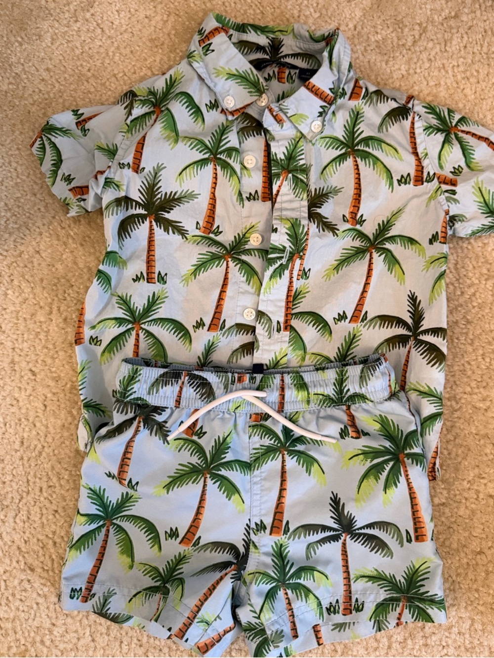 Janie and Jack Boys Palm Tree Button-Up Shirt & Swim Shorts Set - Light Blue